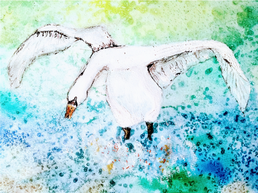 A painting of a swan landing on the water