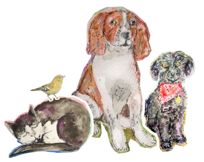 Pet Portrait Collage